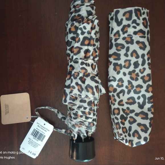 Umbrella - Picture 5 of 6